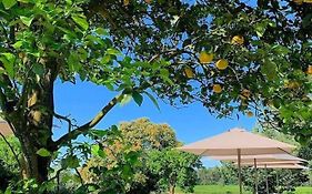 Terra Rosa Country House & Vineyards